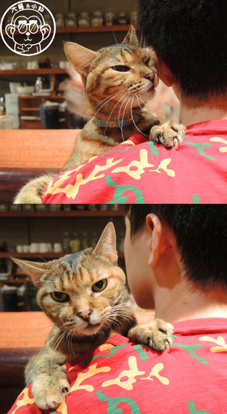 極簡咖啡館:呷飽祙【台北大安・極簡咖啡】萌店長們駐店迎接你