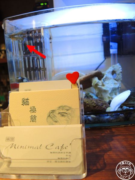 極簡咖啡館:呷飽祙【台北大安・極簡咖啡】萌店長們駐店迎接你