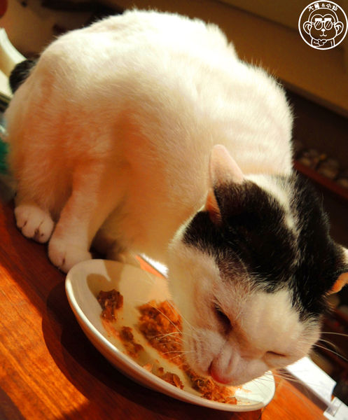 極簡咖啡館:呷飽祙【台北大安・極簡咖啡】萌店長們駐店迎接你