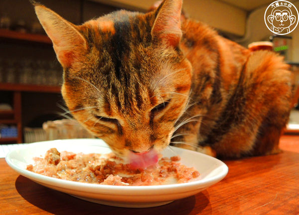 極簡咖啡館:呷飽祙【台北大安・極簡咖啡】萌店長們駐店迎接你