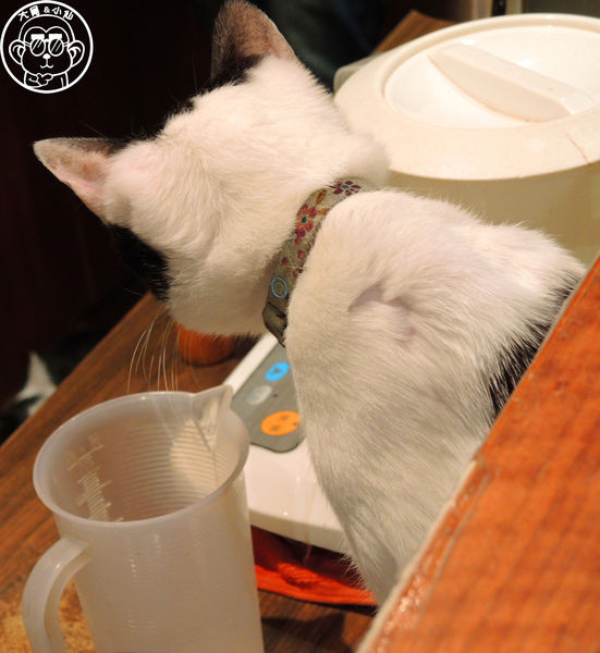 極簡咖啡館:呷飽祙【台北大安・極簡咖啡】萌店長們駐店迎接你