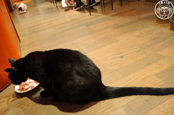 極簡咖啡館:呷飽祙【台北大安・極簡咖啡】萌店長們駐店迎接你