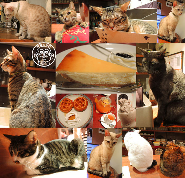 極簡咖啡館:呷飽祙【台北大安・極簡咖啡】萌店長們駐店迎接你