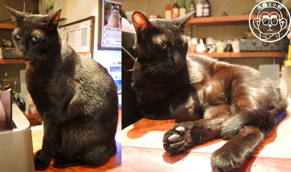 極簡咖啡館:呷飽祙【台北大安・極簡咖啡】萌店長們駐店迎接你