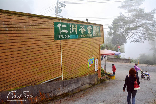 忘憂森林：[南投-景點]忘憂森林。靜止的迷霧世界