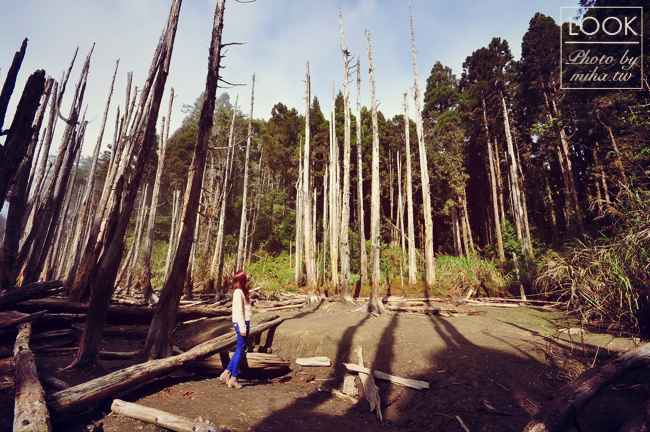 冰蹦拉 穿搭 joyce shop