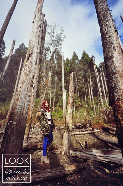 冰蹦拉 穿搭 joyce shop