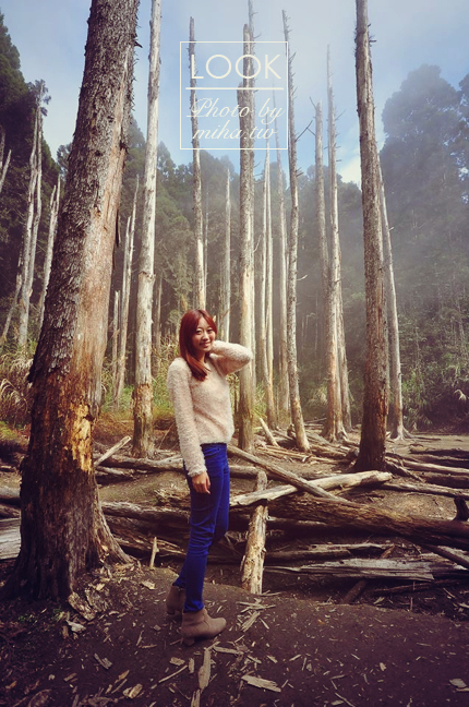 冰蹦拉 穿搭 joyce shop