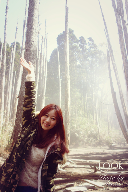 冰蹦拉 穿搭 joyce shop