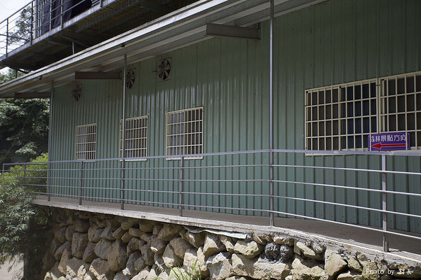 忘憂森林：【人像寫真】｛南投｝艷夏。忘憂森林