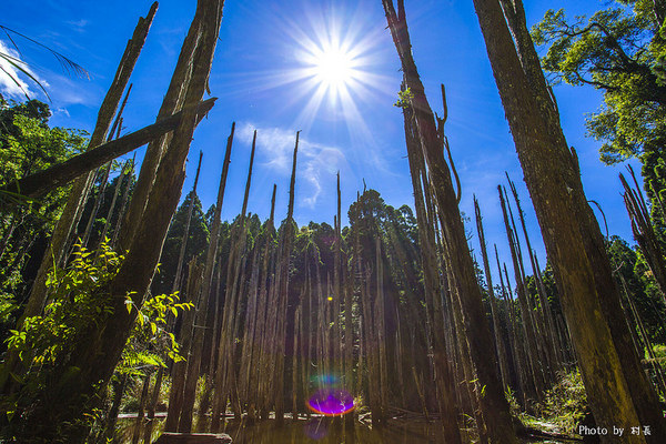 忘憂森林：【人像寫真】｛南投｝艷夏。忘憂森林