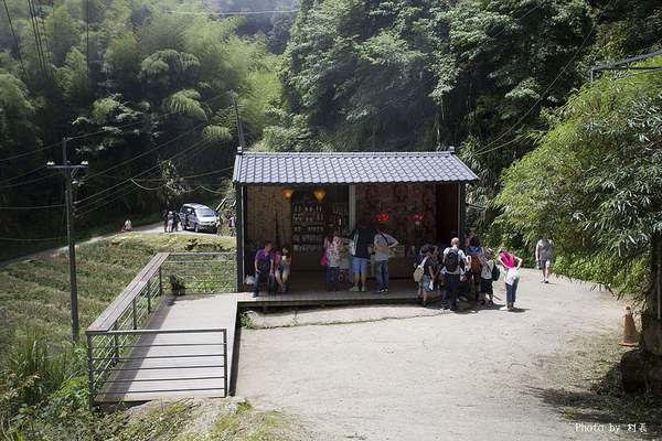 忘憂森林：【人像寫真】｛南投｝艷夏。忘憂森林