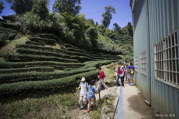 忘憂森林：【人像寫真】｛南投｝艷夏。忘憂森林