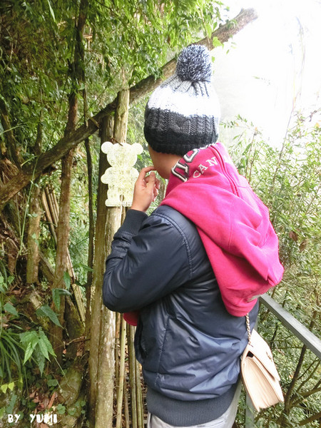 忘憂森林：【南投遊記】煙雨濛濛迷霧似幻的人間仙境@忘憂森林