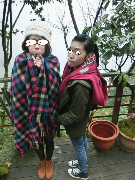 忘憂森林：【南投遊記】煙雨濛濛迷霧似幻的人間仙境@忘憂森林