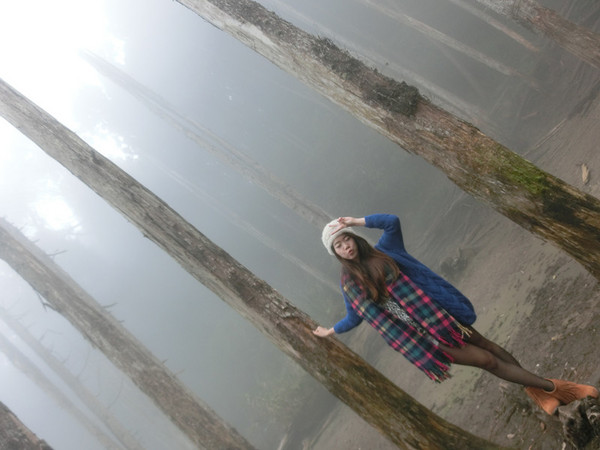 忘憂森林：【南投遊記】煙雨濛濛迷霧似幻的人間仙境@忘憂森林