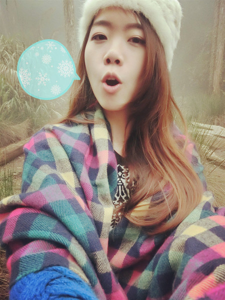 忘憂森林：【南投遊記】煙雨濛濛迷霧似幻的人間仙境@忘憂森林