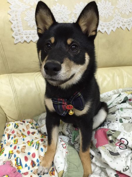 鄰居家 NEXT DOOR:【大安】鄰居家 NEXT DOOR。美式漢堡好好食。輕鬆舒適當自己家