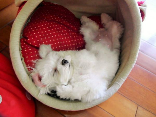 鄰居家 NEXT DOOR:【大安】鄰居家 NEXT DOOR。美式漢堡好好食。輕鬆舒適當自己家