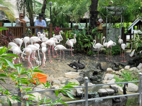 淨園休閒農場：走！來去給動物看~