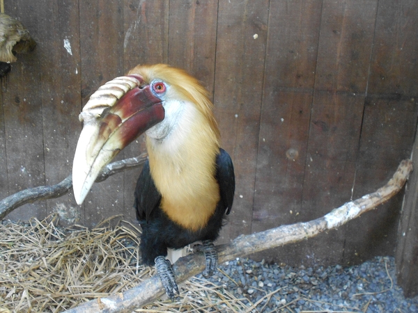 淨園休閒農場：走！來去給動物看~