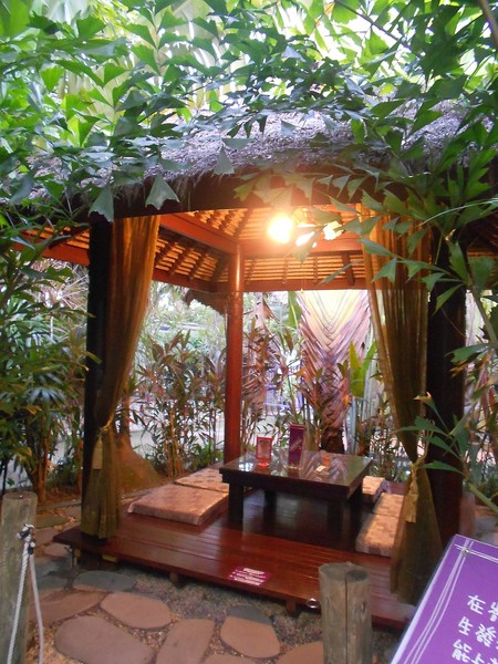 淨園休閒農場：走！來去給動物看~