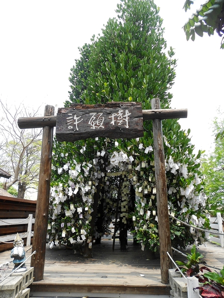 淨園休閒農場：走！來去給動物看~