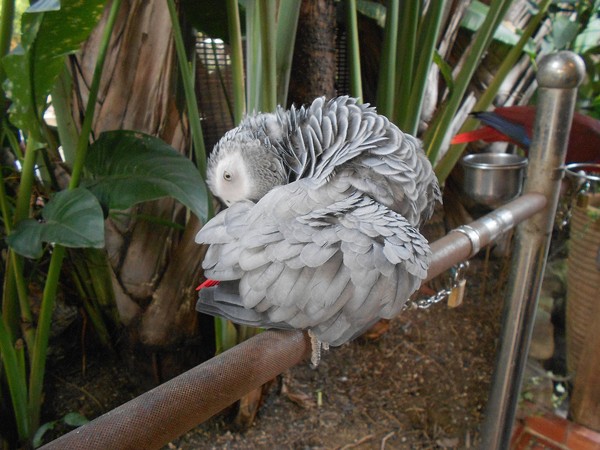 淨園休閒農場：走！來去給動物看~