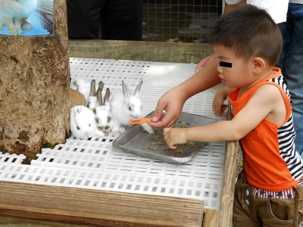 淨園休閒農場：走！來去給動物看~