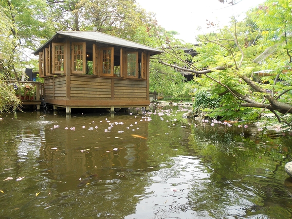 淨園休閒農場：走！來去給動物看~