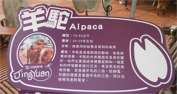 淨園休閒農場：走！來去給動物看~