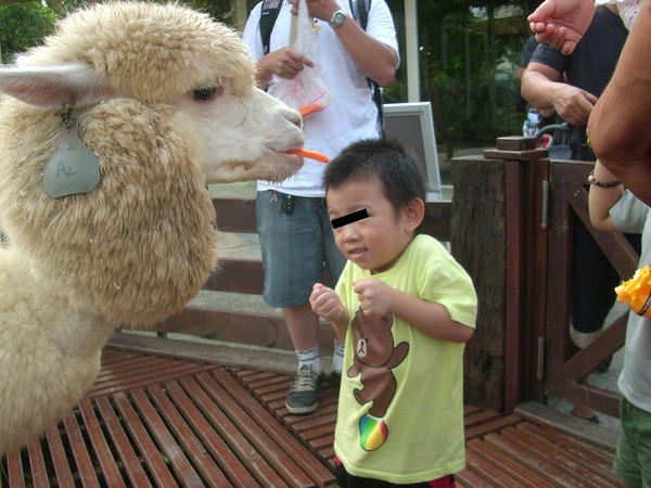 淨園休閒農場：走！來去給動物看~