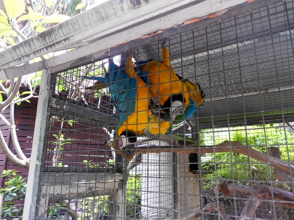 淨園休閒農場：走！來去給動物看~