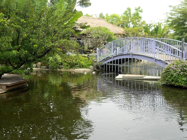 淨園休閒農場：走！來去給動物看~