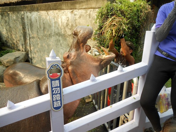淨園休閒農場：走！來去給動物看~