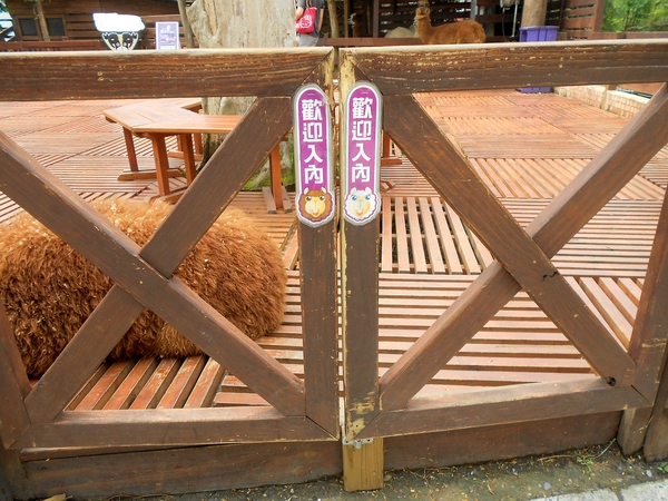 淨園休閒農場：走！來去給動物看~