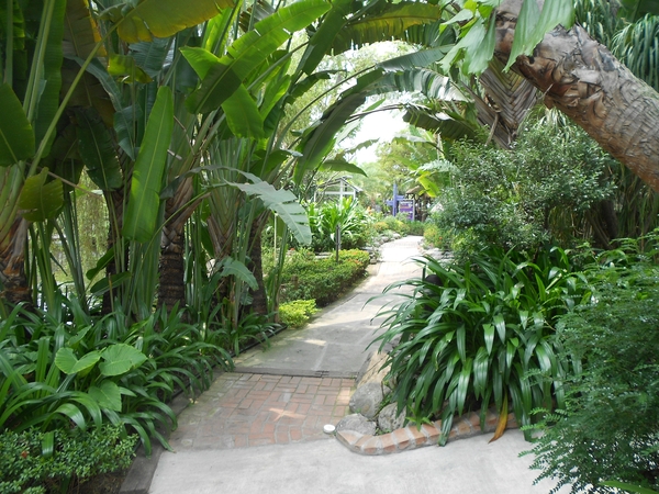 淨園休閒農場：走！來去給動物看~