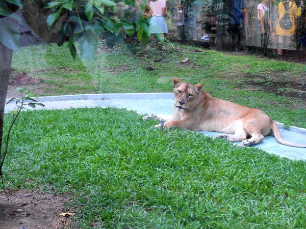 淨園休閒農場：走！來去給動物看~