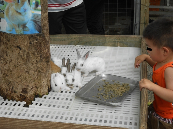 淨園休閒農場：走！來去給動物看~