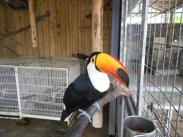 淨園休閒農場：走！來去給動物看~