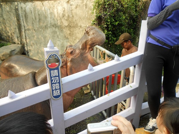 淨園休閒農場：走！來去給動物看~