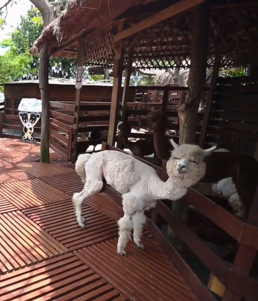 螢幕快照 2014-06-03 上午2.30.20