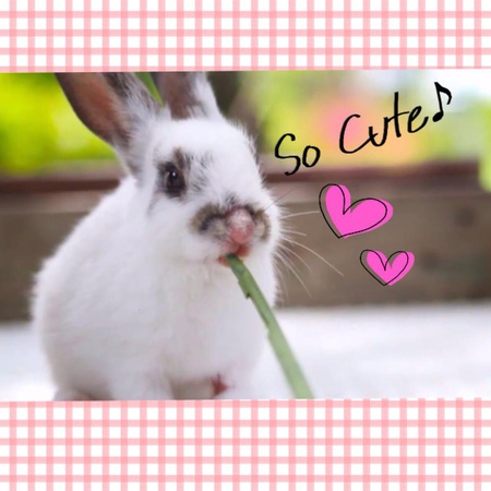 10444706_884177831598183_6904279297000873146_n