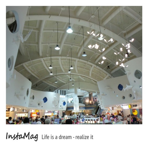 東山休息站：【台南景點】滿滿的魚群在半空中飛舞~海底隧道東山休息站