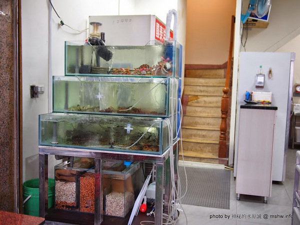 第一猛東石烤鮮蚵(櫻花路分店)：【食記】台中第一猛東石烤鮮蚵西屯店@西屯MRT櫻花 : 東西果然很新鮮,烤的功力也不錯,記得要對海鮮有點認知比較安全【食記】台中第一猛東石烤鮮蚵西屯店@西屯MRT櫻花 : 東西果然很新鮮,烤的功力也不錯,記得要對海鮮有點認知比較安全