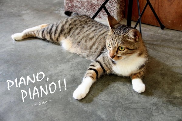 cm20160615___0244057b3091195323932842fa0