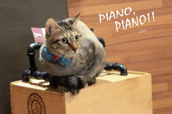 cm20160616___f77310faf37b8722acae591c8b4