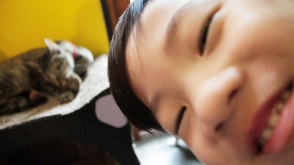 cm20160615___32d43034c28ddd77b16d2220ddc