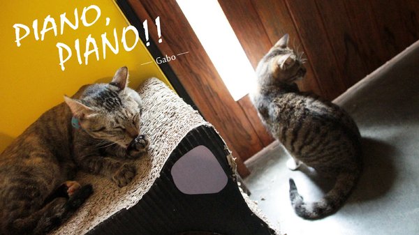 cm20160615___414e70e65d6a586045f566a7899