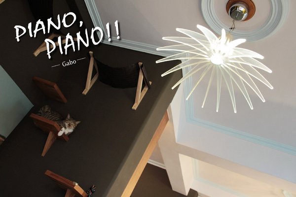 cm20160615___b8fbe6a8ead82a07b72ad5f10a7